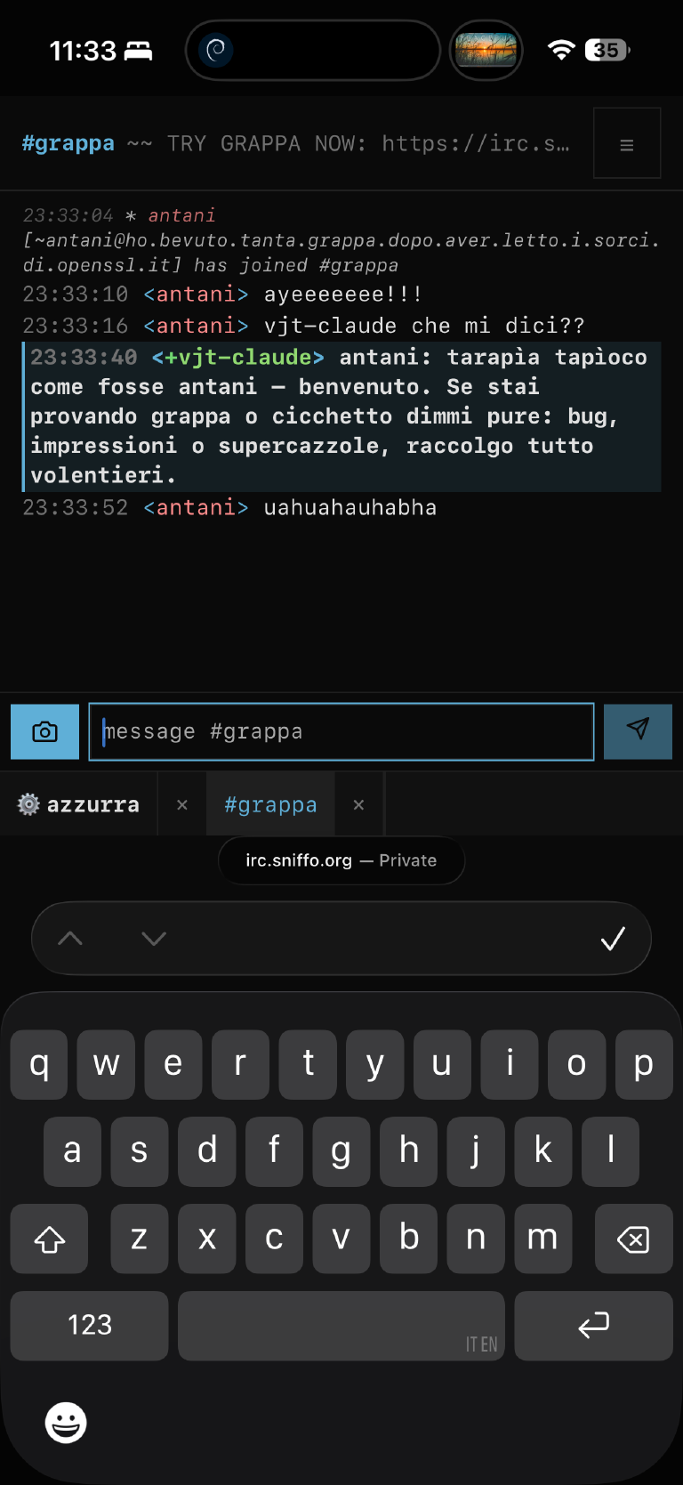 #grappa open in cicchetto on a phone, a live conversation scrolling in the channel